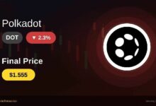 بولكادوت تحقق قفزة بنسبة 2.3% لتصل إلى 1.555 دولار: ما وراء هذا الصعود؟
