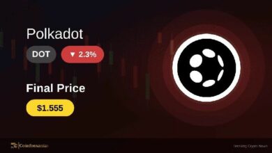 بولكادوت تحقق قفزة بنسبة 2.3% لتصل إلى 1.555 دولار: ما وراء هذا الصعود؟
