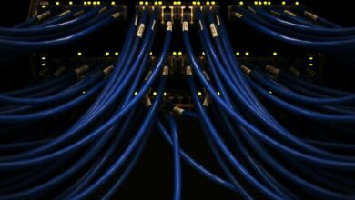 العملات المشفرة للمستشارين: تطور العملات المستقرة في عالم البلوكشين