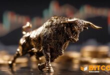 مُحلِّلون: قاعدة ملكية البيتكوين تنضج مما يقلل الاعتماد على المستثمرين الأفراد