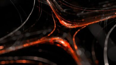 MoonPay تطلق معيار محفظة مخصص لعملاء الذكاء الاصطناعي