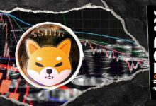 كبار المتداولين في بينانس يتوصلون إلى توازن بشأن شيبا إينو (SHIB)