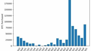 استراتيجية الشراء تستهدف ثاني أكبر ربع لاقتناء البيتكوين رغم انخفاض السعر