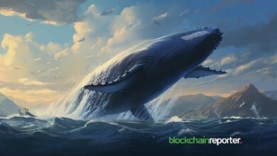حوت يشهد خسارة 14 مليون دولار بعد احتفاظه بـ WBTC لمدة عام كامل