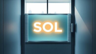 كشف ممتلكات سولميت البالغة 113 مليون دولار من عملة سول: خطوة استراتيجية بارعة في إدارة الخزينة للأصول الرقمية