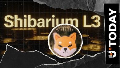 شيباريوم المستوى الثالث 'قيد الاختبار حالياً': متى سيتم إطلاق الشبكة الرئيسية؟