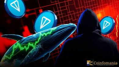 هل يستعيد الحوت خسارته؟ محتال يُعيد 220 ألف دولار من عملة TON