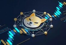 شيبا إينو يقفز بعد حرق هائل للعملة