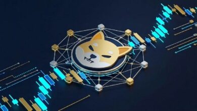 شيبا إينو يقفز بعد حرق هائل للعملة