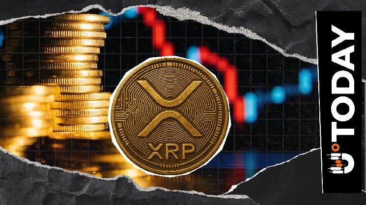 تحديث XRP تحت المجهر: شركة خزانة بقيمة مليار دولار تبرز إمكانيات جديدة