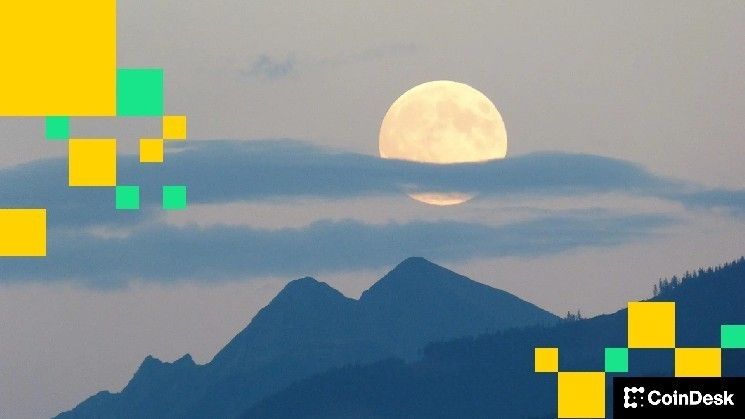 مون باي تطلق وكلاء ذكاء اصطناعي للعملات الرقمية مؤمنة بـ ليدجر لمواجهة مخاطر مفاتيح المحافظ