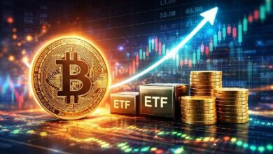 تسجيل 4 أيام قياسية لتداول صناديق البيتكوين ETF في شهر واحد.. هل تشهد تدفقات هائلة؟