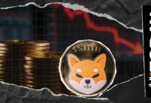 مستثمر خامد في شيبا إينو يتخلص من مليارات العملة بخسارة 83% بعد شرائها عند قمة مارس 2024