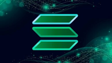 رئيس سولانا يعلن موت ألعاب الكريبتو ويُشعل الجدل