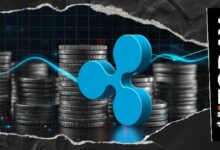 ريبل تدمج XRP وليدجر XRP وعملة RLUSD تحت سقف واحد: ريس ميريك