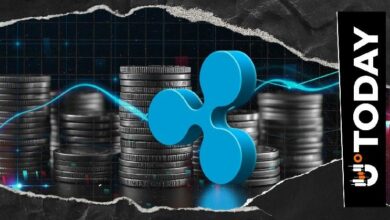 ريبل تدمج XRP وليدجر XRP وعملة RLUSD تحت سقف واحد: ريس ميريك