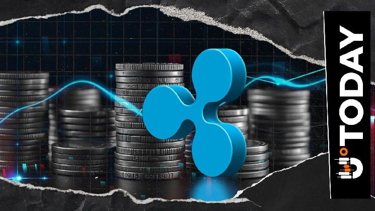 ريبل تدمج XRP وليدجر XRP وعملة RLUSD تحت سقف واحد: ريس ميريك