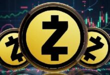 سعر Zcash (ZEC) يتجاوز 221 دولاراً ثم يتراجع بعد تصحيح سعري