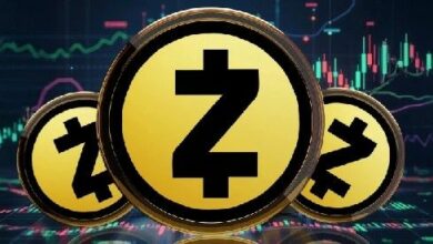 سعر Zcash (ZEC) يتجاوز 221 دولاراً ثم يتراجع بعد تصحيح سعري