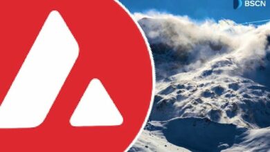 نشاط Avalanche يشهد صعودًا صامتًا: 3 ملايين معاملة يوميًا؟!