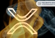 ديفيد شوارتز يقدم أدلة على أن حرق ودائع XRP المؤمنة لن يؤثر على سعرها
