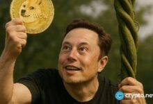 سعر VINE يقفز 86% مع عودة الضجة حول "الذكاء الاصطناعي لفاين" من إيلون ماسك