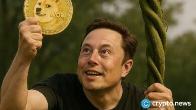 سعر VINE يقفز 86% مع عودة الضجة حول "الذكاء الاصطناعي لفاين" من إيلون ماسك