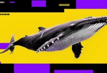 انخفاض البيتكوين قد يستمر مع بيع الحيتان مقابل شراء المستثمرين الأفراد — إشارة هابطة