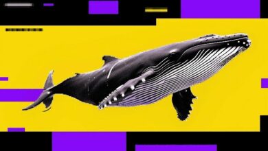 انخفاض البيتكوين قد يستمر مع بيع الحيتان مقابل شراء المستثمرين الأفراد — إشارة هابطة