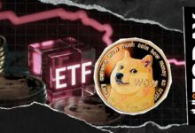 صفر دولار: صافي تدفقات صناديق الدوجكوين اليومي يثير التساؤلات
