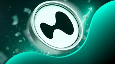 هل سعر HYPE عند 40 دولارًا يُعد فرصة ذهبية؟ خبير يرى أن السوق يخطئ في تقييمه