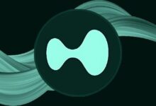 منصة Hyperliquid Strategies تحافظ على مكاسب بقيمة 356 مليون دولار رغم خسائر شركات التداول الآلي