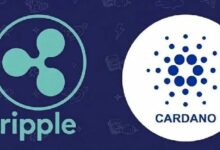 رئيس Ripple التقني السابق ديفيد شوارتز يرد على تصريحات مؤسس كاردانو حول XRP و ADA