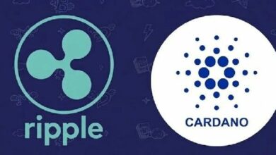 رئيس Ripple التقني السابق ديفيد شوارتز يرد على تصريحات مؤسس كاردانو حول XRP و ADA