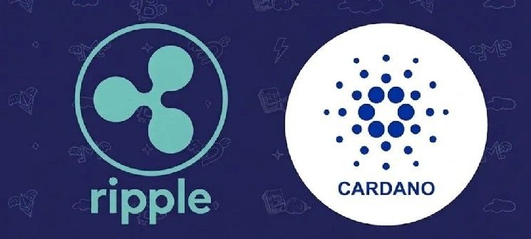 رئيس Ripple التقني السابق ديفيد شوارتز يرد على تصريحات مؤسس كاردانو حول XRP و ADA