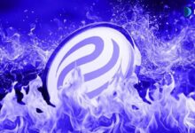 إحراق 7 ملايين INJ من إنجكتيف وتوزيع 776 ألف دولار على مجتمعها