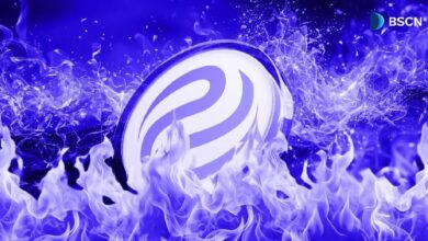 إحراق 7 ملايين INJ من إنجكتيف وتوزيع 776 ألف دولار على مجتمعها