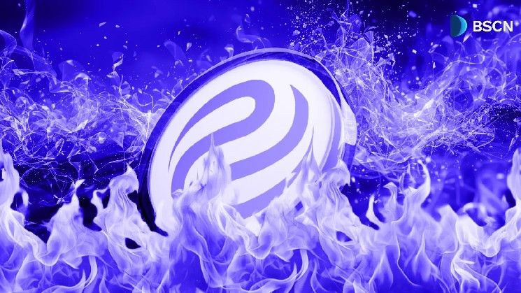 إحراق 7 ملايين INJ من إنجكتيف وتوزيع 776 ألف دولار على مجتمعها