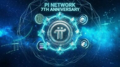 شبكة باي تشهد قفزة حادة بمناسبة ذكراها السابعة مع توسع النظام البيئي