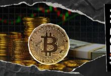 50 ألف دولار للبيتكوين في 2026: استراتيجي السلع في بلومبيرغ يصف البيتكوين بـ "الدب الصغير"