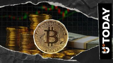 50 ألف دولار للبيتكوين في 2026: استراتيجي السلع في بلومبيرغ يصف البيتكوين بـ "الدب الصغير"