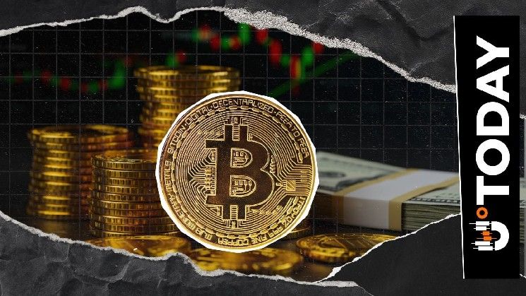 50 ألف دولار للبيتكوين في 2026: استراتيجي السلع في بلومبيرغ يصف البيتكوين بـ "الدب الصغير"