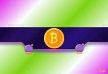 توقف البيتكوين عند 74 ألف دولار: أين يتجه السعر بعد ذلك؟ تحليل الخبراء