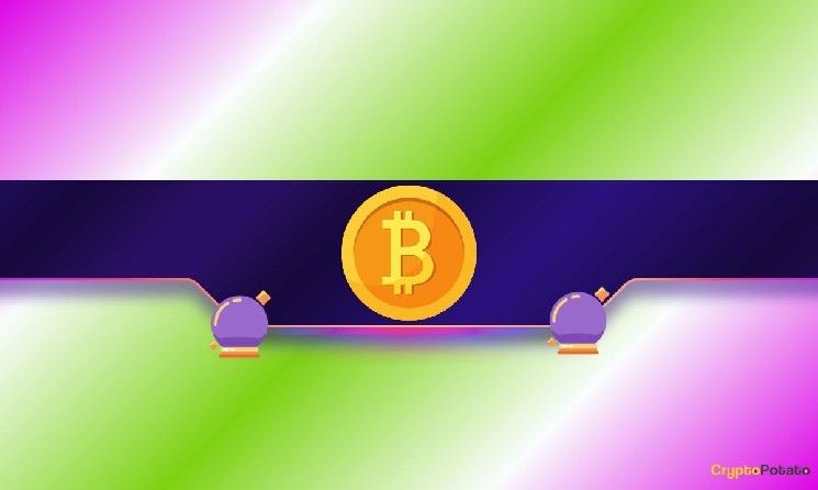 توقف البيتكوين عند 74 ألف دولار: أين يتجه السعر بعد ذلك؟ تحليل الخبراء