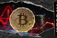 تحذير بشأن البيتكوين: اختبار مستوى 66,000 دولار مع تحذيرات محلل من مرحلة بيع مفرط تستمر لشهور