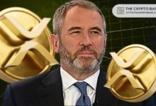 أخبار XRP: رئيس ريبل يتوقع إسعاد المستثمرين خلال 5 سنوات
