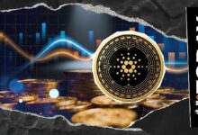 تلفزيون دي فاي كاردانو يسجل مستوى قياسياً جديداً عند 500 مليون ADA: هل مرحلة المليار هي المحطة التالية؟