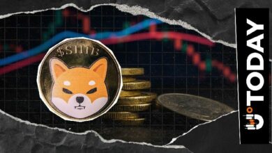 تبادل كوري كبير يتحدى "بينانس" على سوق "شيبا إينو" (SHIB) مع هبوط حجم التداول 35% في 24 ساعة