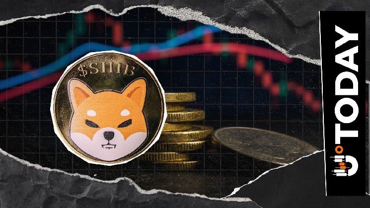 تبادل كوري كبير يتحدى "بينانس" على سوق "شيبا إينو" (SHIB) مع هبوط حجم التداول 35% في 24 ساعة
