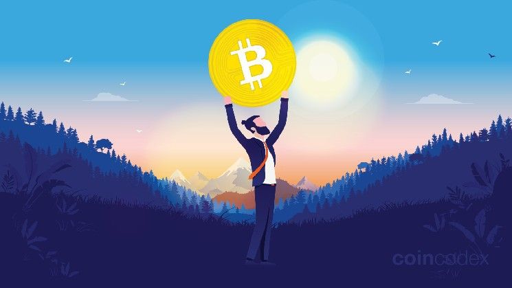 قائمة أكبر حاملي البيتكوين: من يملك الثروات الرقمية في 2026؟